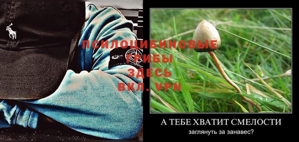 ешки Наволоки