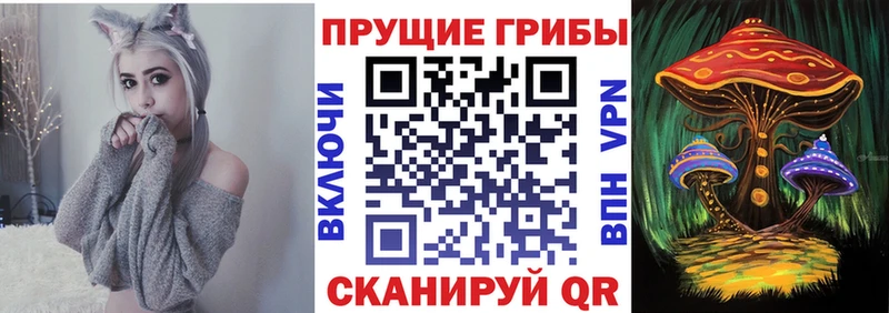 Галлюциногенные грибы Psilocybe  Купить закладки  Козельск 